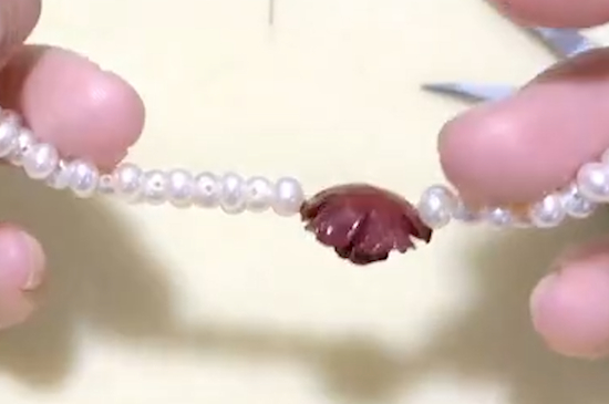 贝珠和珍珠的区别
